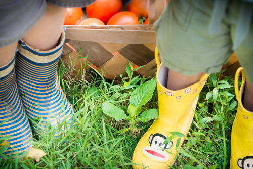 kids'  boots garden tomatoes photography pictures Athens TN