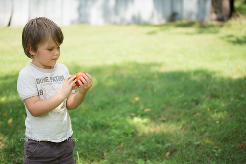 garden tomatoes photography pictures Athens TN