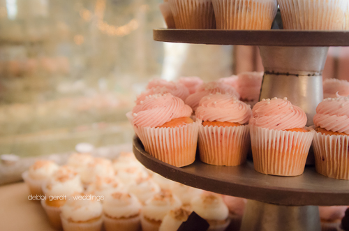 Wedding Cupcakes Cleveland Athens Tennessee TN Photographer