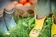 kids' boots garden tomatoes photography pictures Athens TN