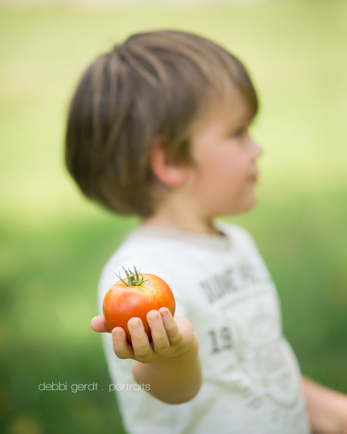 kids garden tomatoes Photography pictures Athens TN