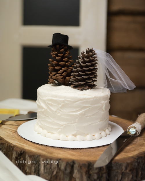 Wedding photographer Cleveland Athens TN cake pine cone topper