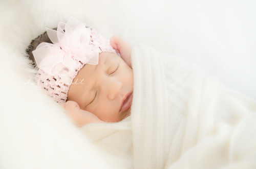 Cleveland Athens TN Portrait Photographer Newborn Picture