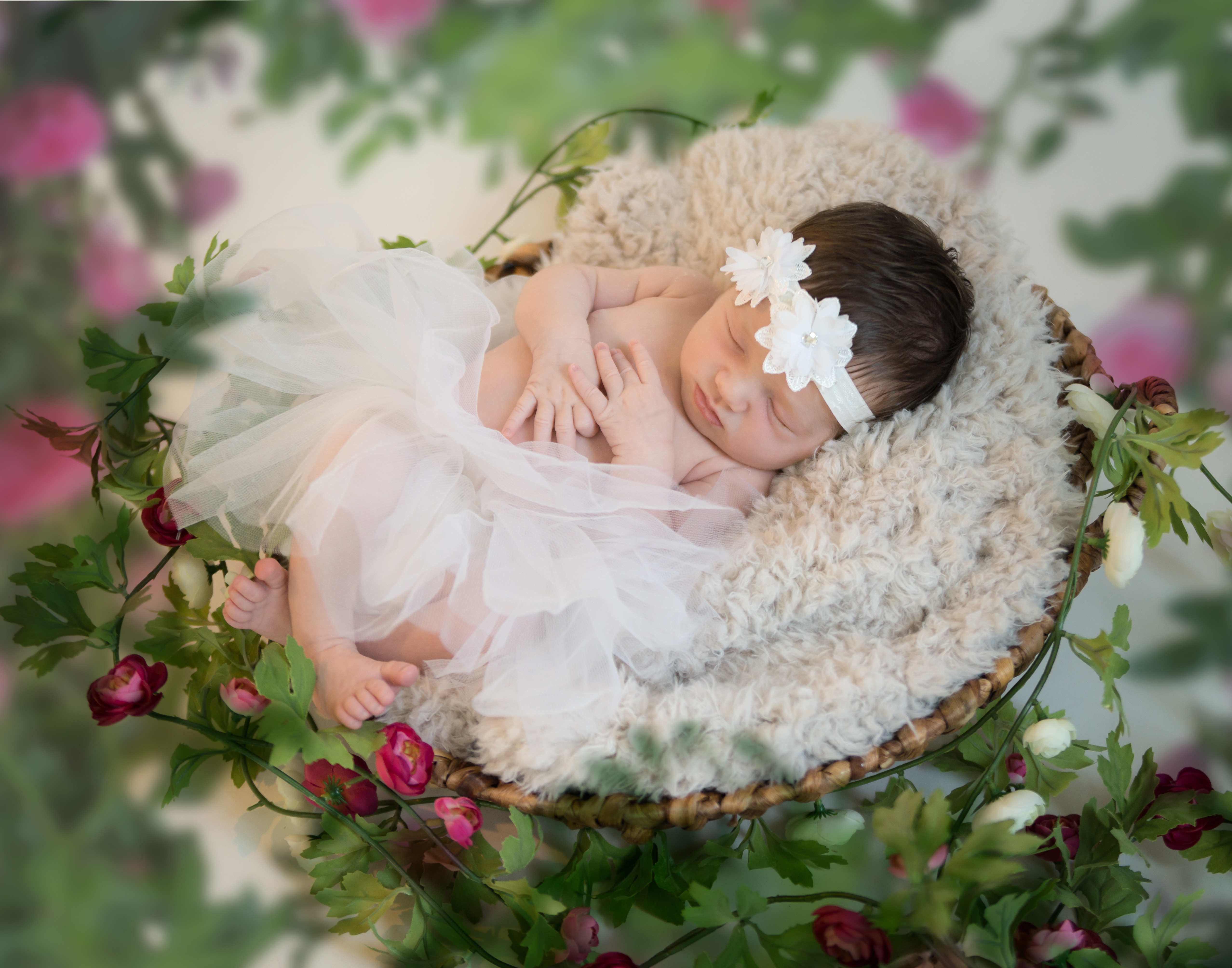 Newborn Photographer in Cleveland Athens Knoxville TN