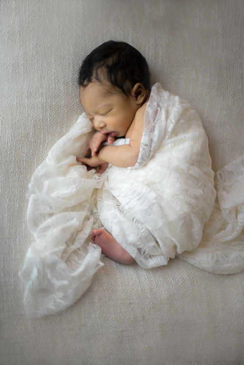 newborn baby portrait photography in cleveland tennessee