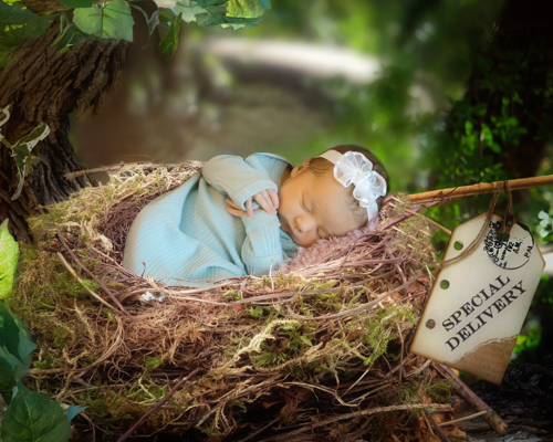 Newborn baby picture composite art